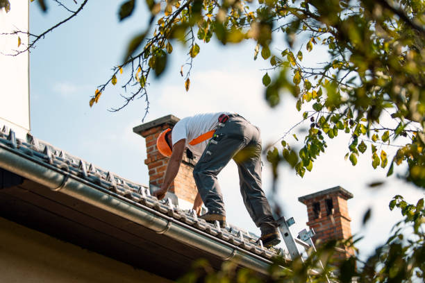 Roof Gutter Cleaning in Arkwright, SC